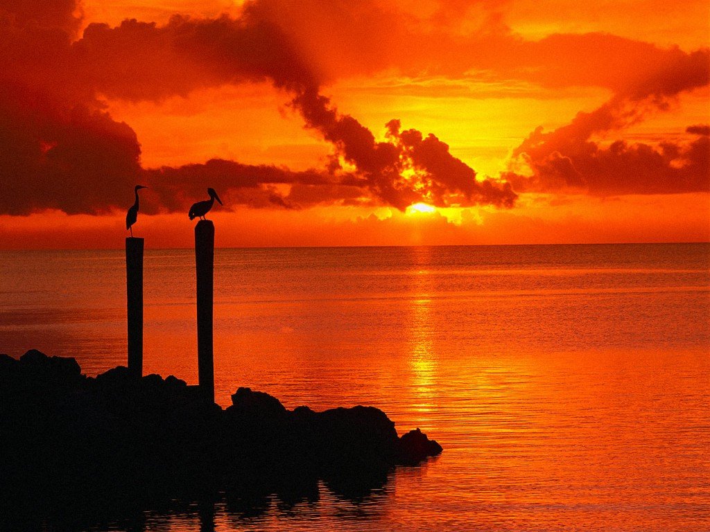http://4.bp.blogspot.com/-UI4Lx5Ceyok/Ta42dvJm9cI/AAAAAAAAFWc/AXU6X1gvSFA/s1600/59_Florida_Keys_Largo_USA_freenature_landscapes_ocean_computerdesktopwallpaper_l.jpg