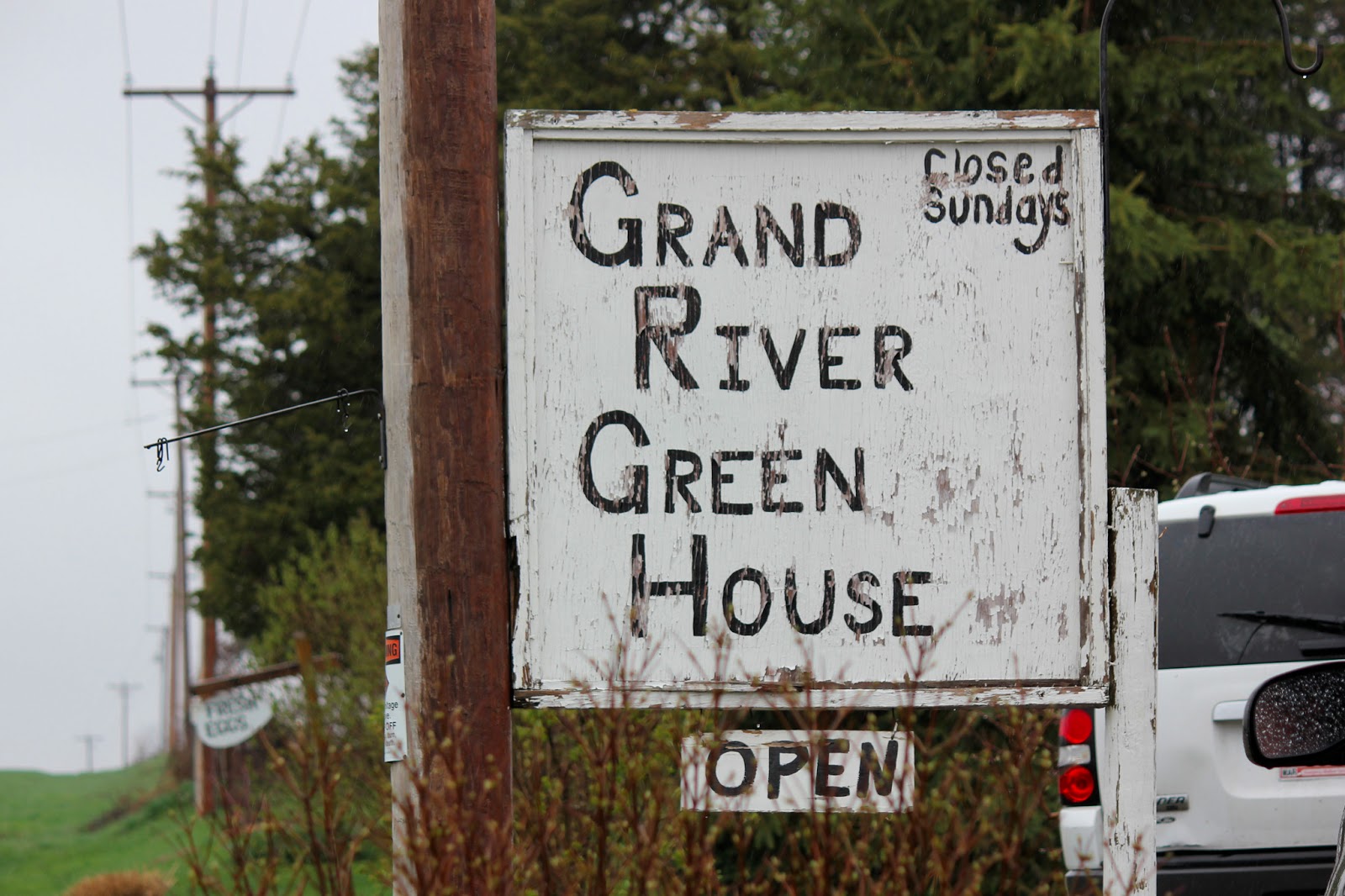 The Cabin Countess Amish Greenhouses