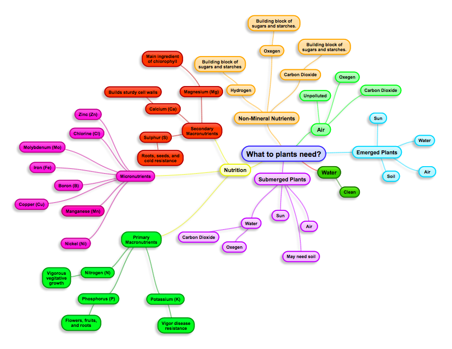 Biology Plants and Photosynthesis What do plants need?
