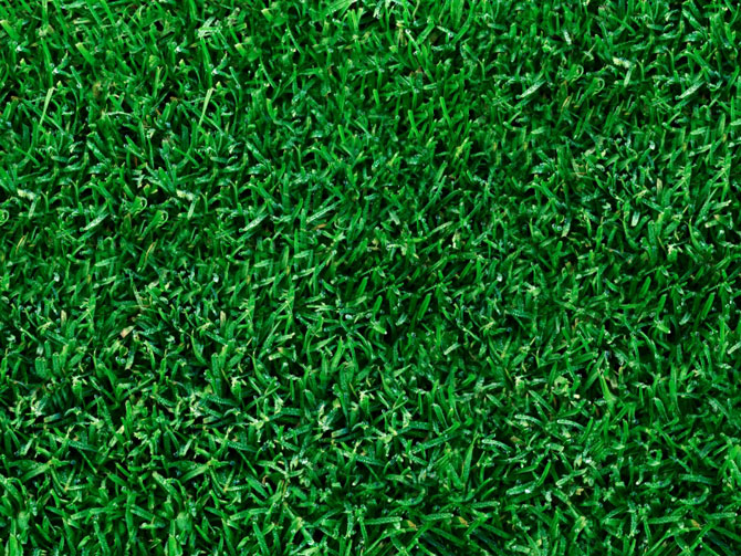 reubens lawn care the different seasons of lawn grass reubens lawn care the different seasons of lawn grass