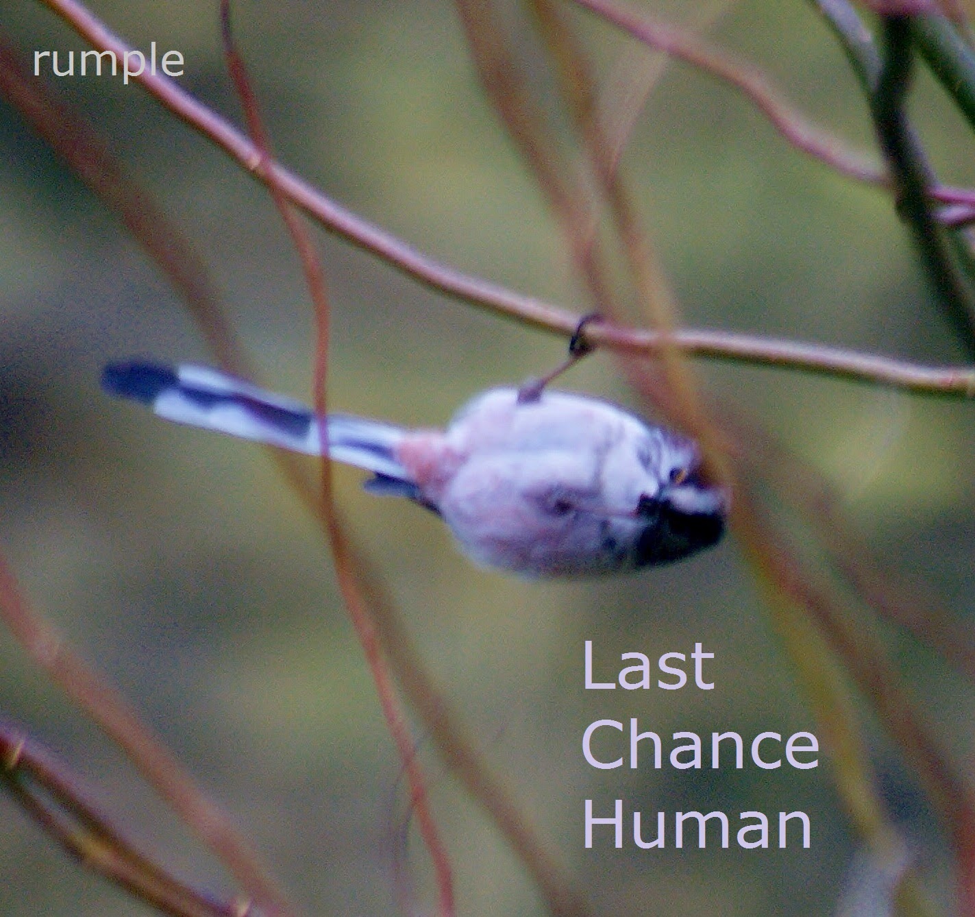 Last Chance Human