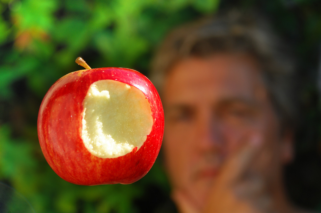 El Arcón Mágico La manzana de....