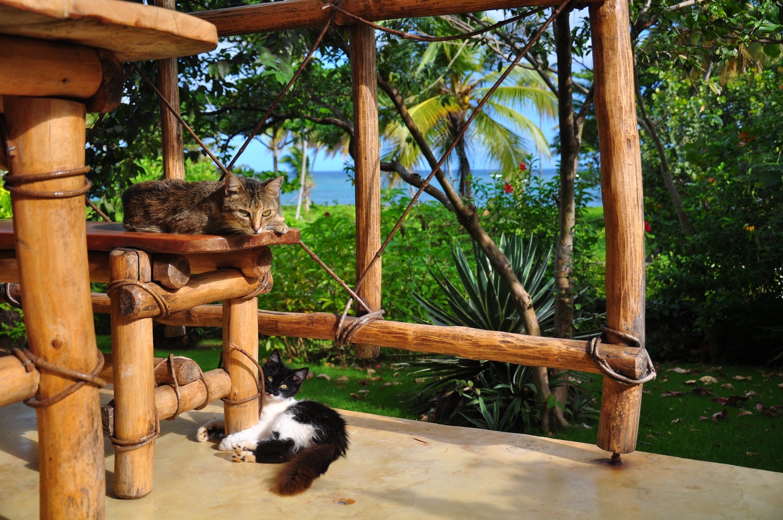 parce que les belles rencontres