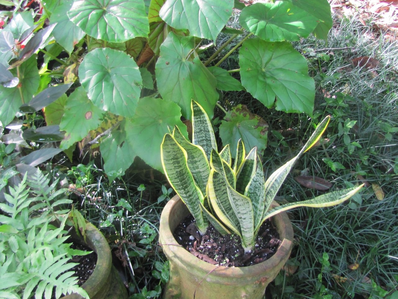 Bless Our Hearts Pictures