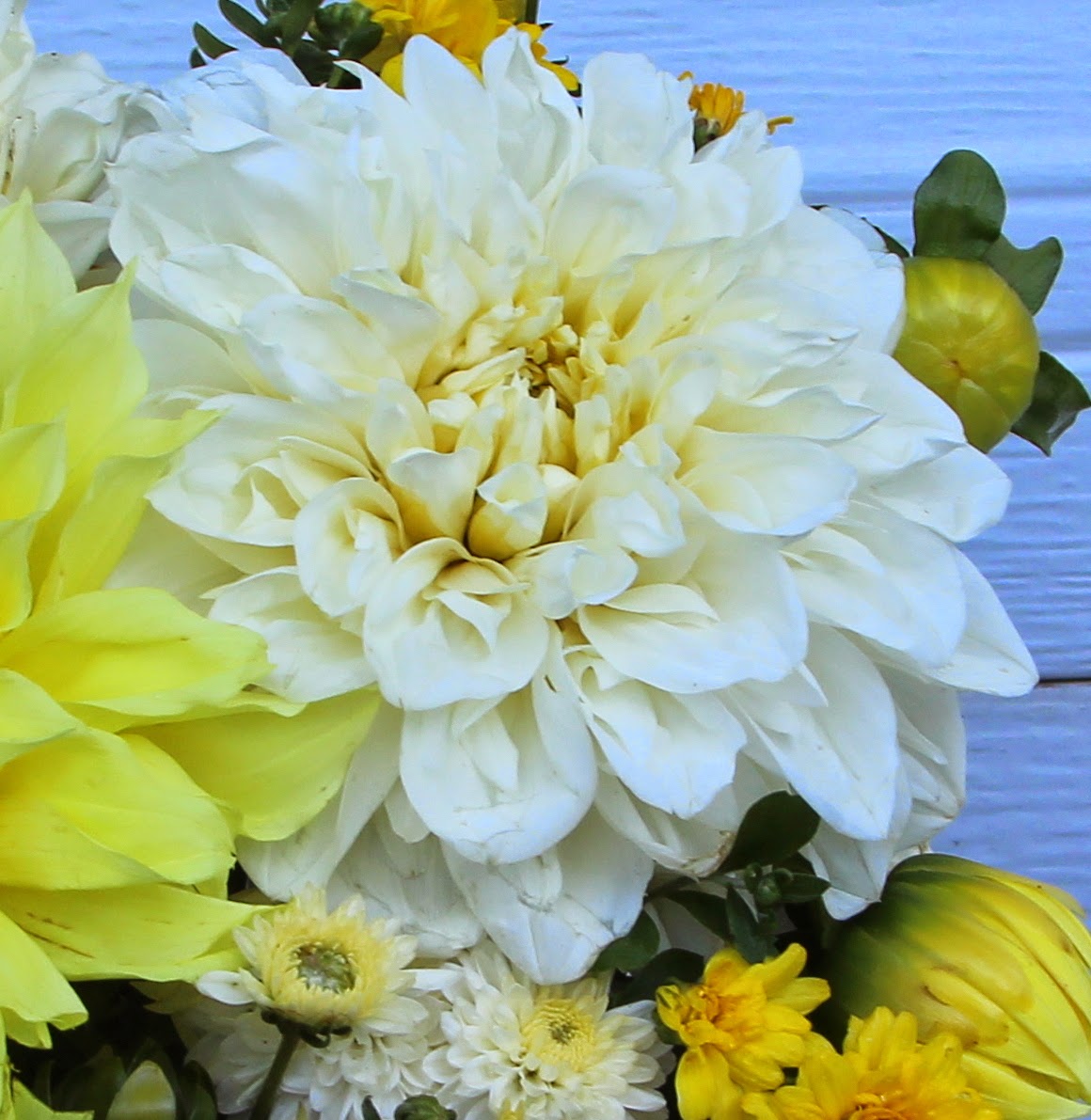 EARLY FALL FLORAL ARRANGEMENTS Dinner Plate Dahlias, Mums and Roses
