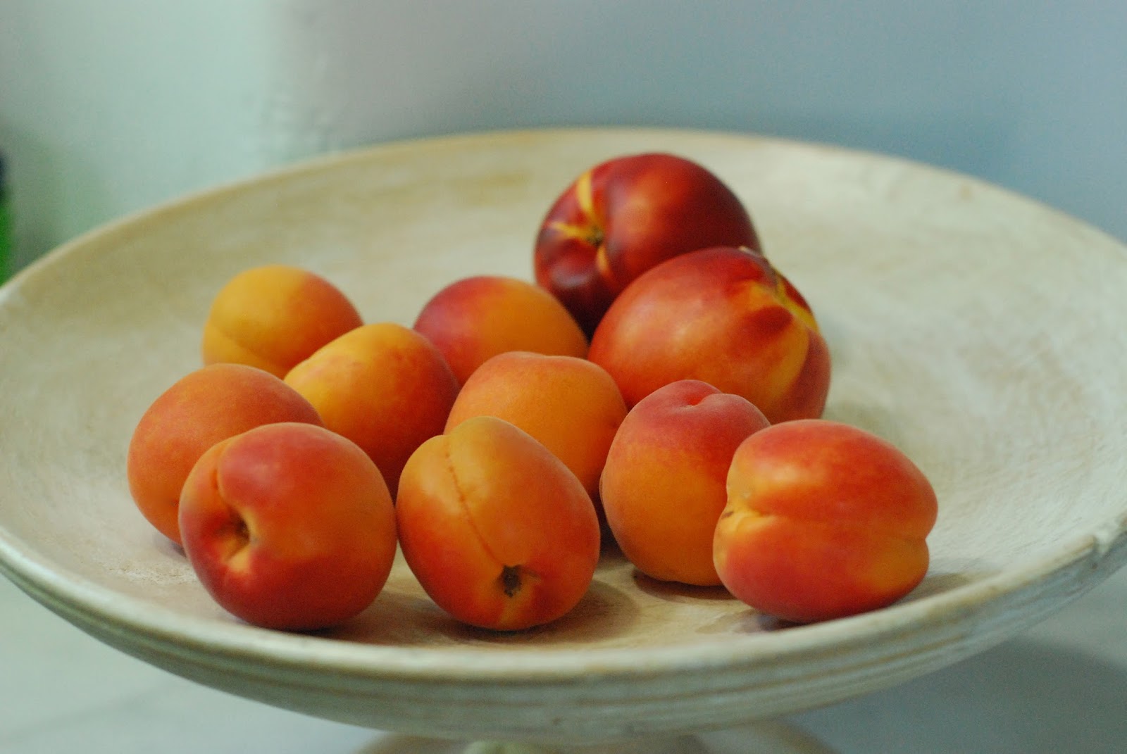 cup and table apricot season, the sweet spot of summer