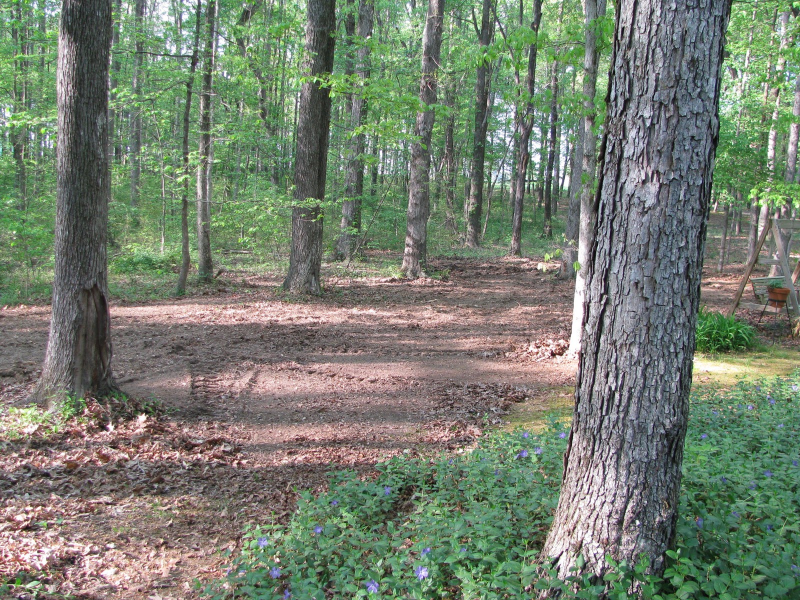 Little Family in the Big Woods Mid South Land Clearing