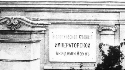 Биологическая станция в Севастополе Биологическая станция в Севастополе