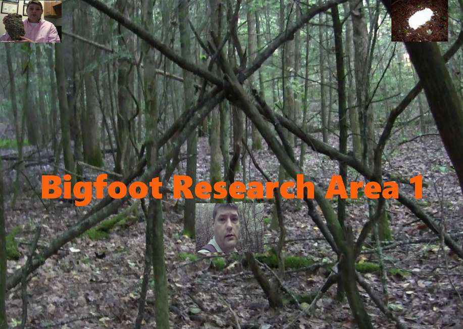 Bigfoot Research Area 1 The Crypto Crew
