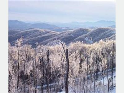 North Carolina Cabins Mountain Vacation Rentals And Lakefront