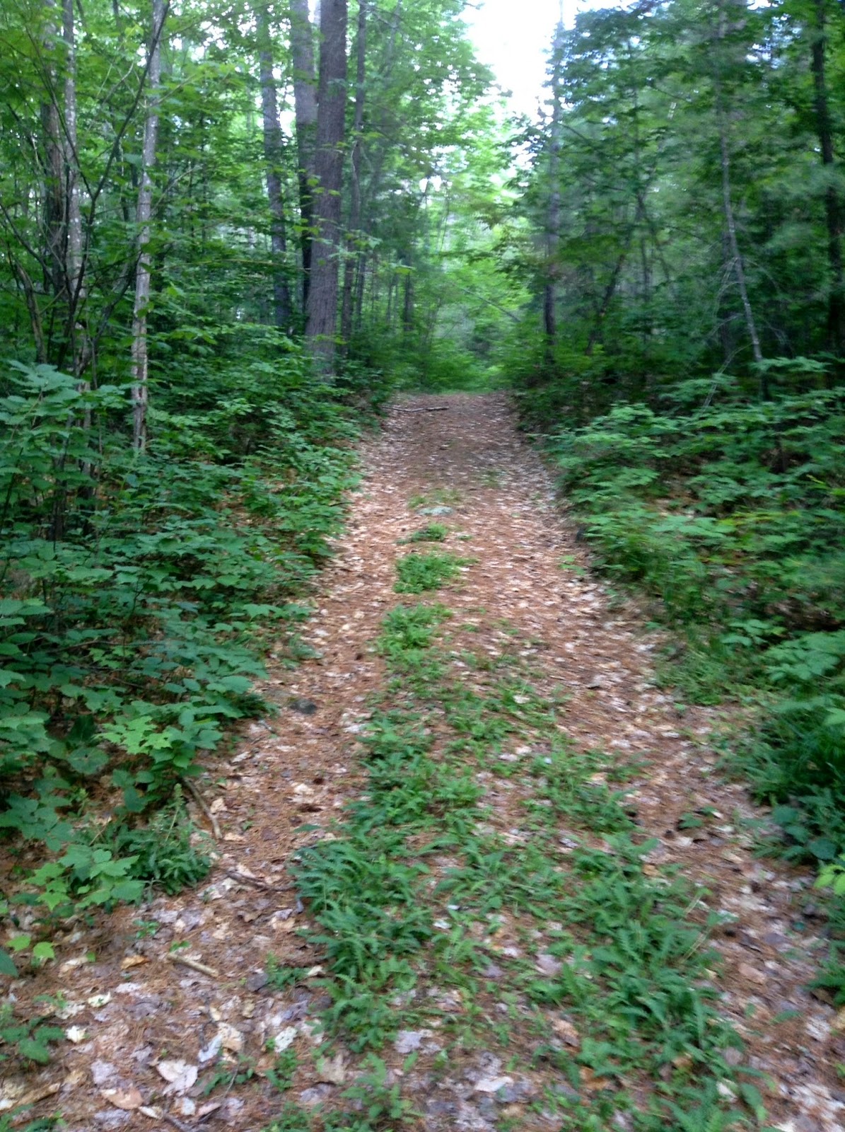 High Heels in the Wilderness To The Back of Beyond