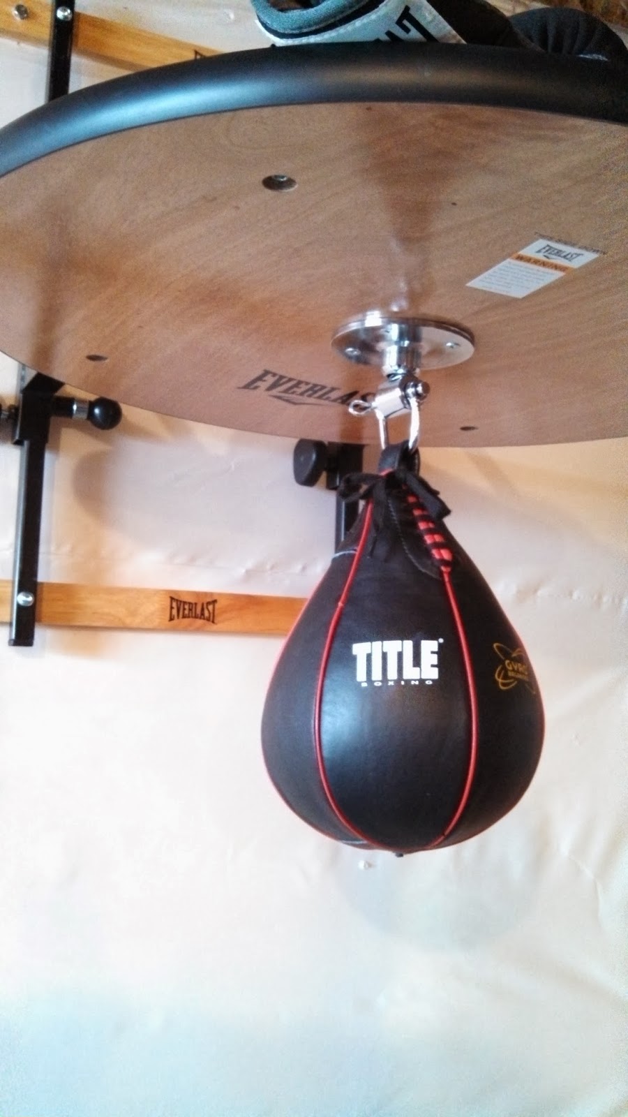 Everlast Punching Bag Heavy Bag and Speed Bag Penny Pincher Journal