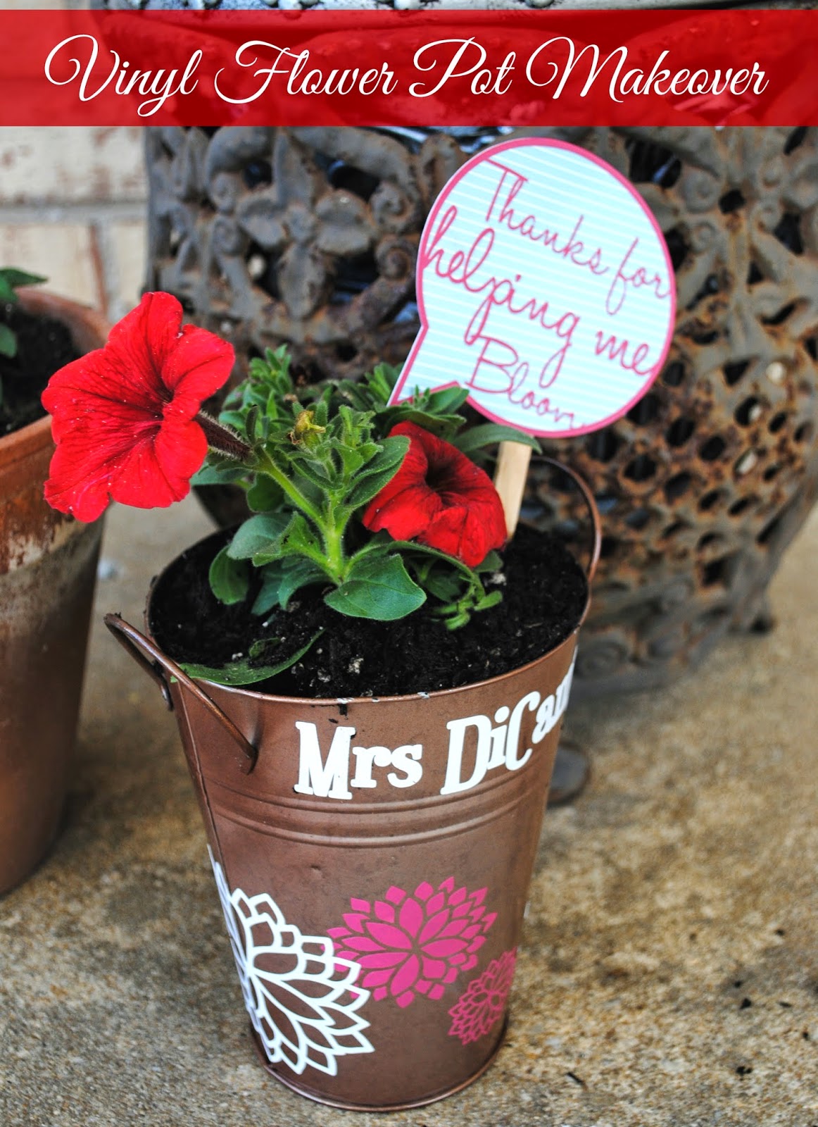 Dollar Store Flower Pot Makeover with Vinyl Flowers (and a GIVEAWAY