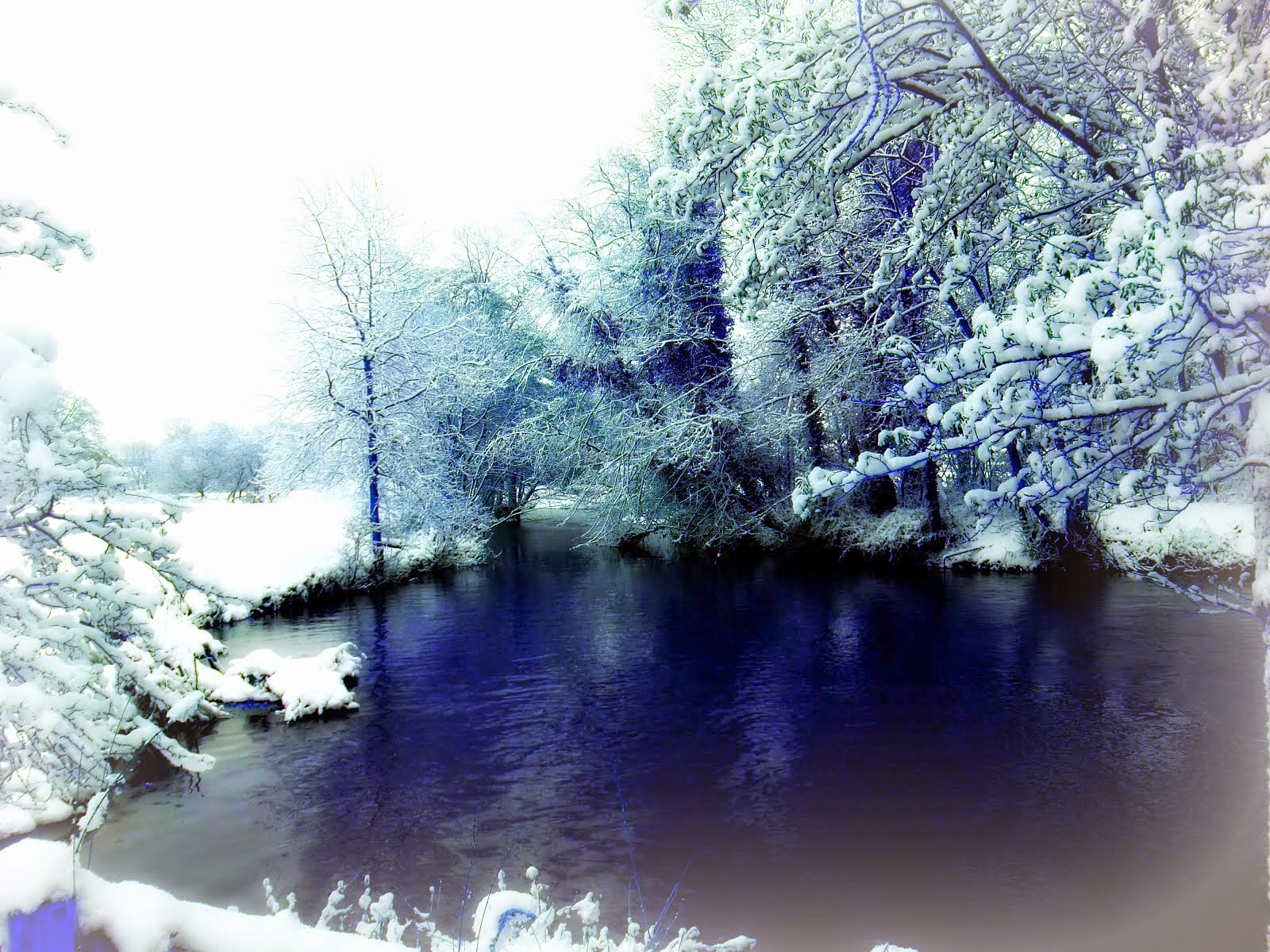 Winter Scene in Norfolk