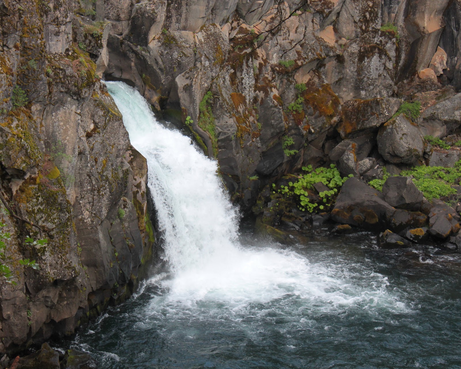 Richard Hikes McCloud River Trail