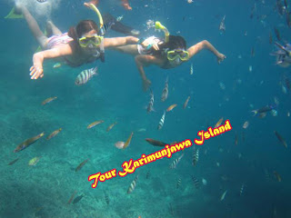 tour karimunjawa tour karimunjawa