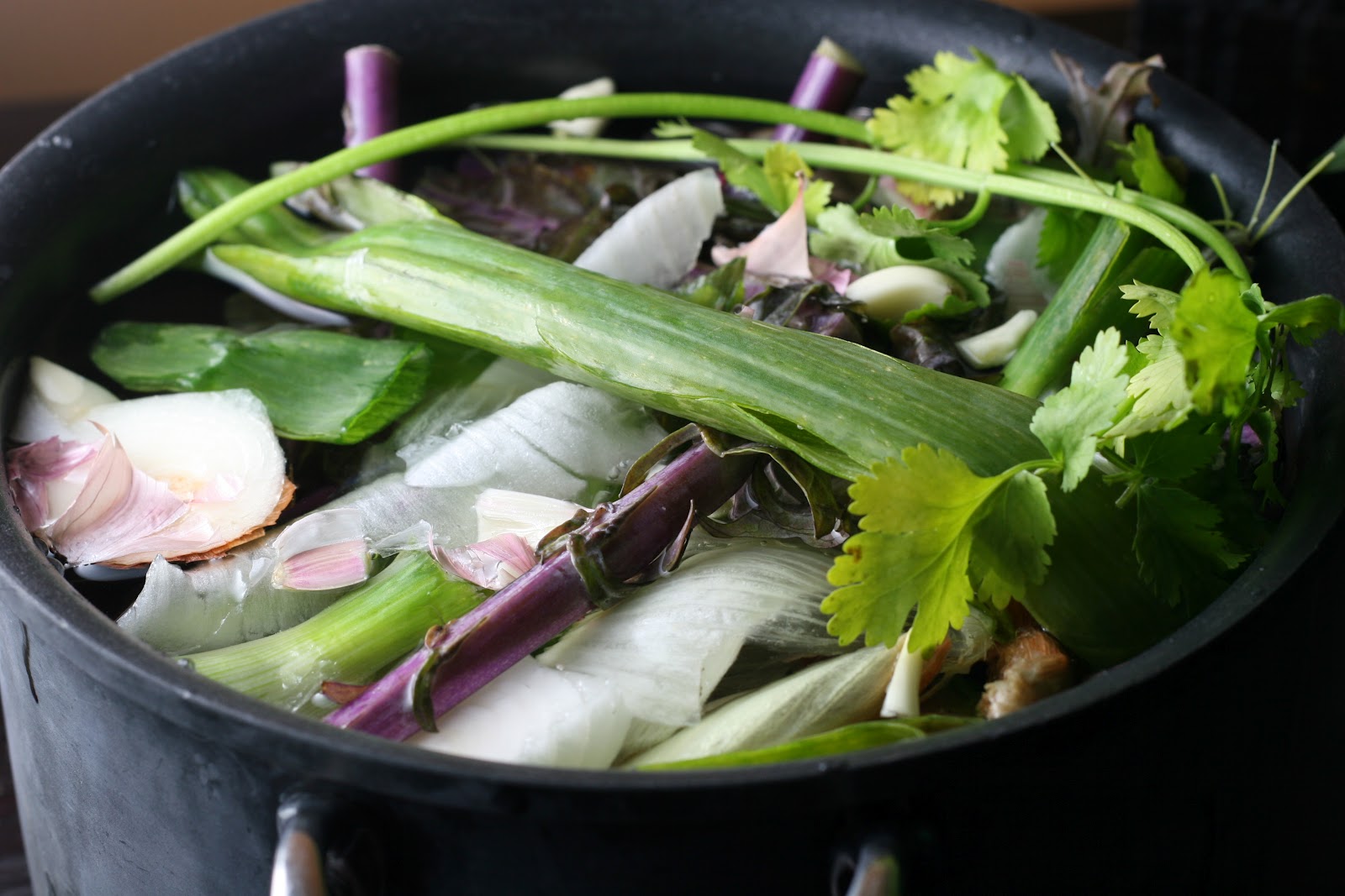 Vegetable Broth Coastal Cooking