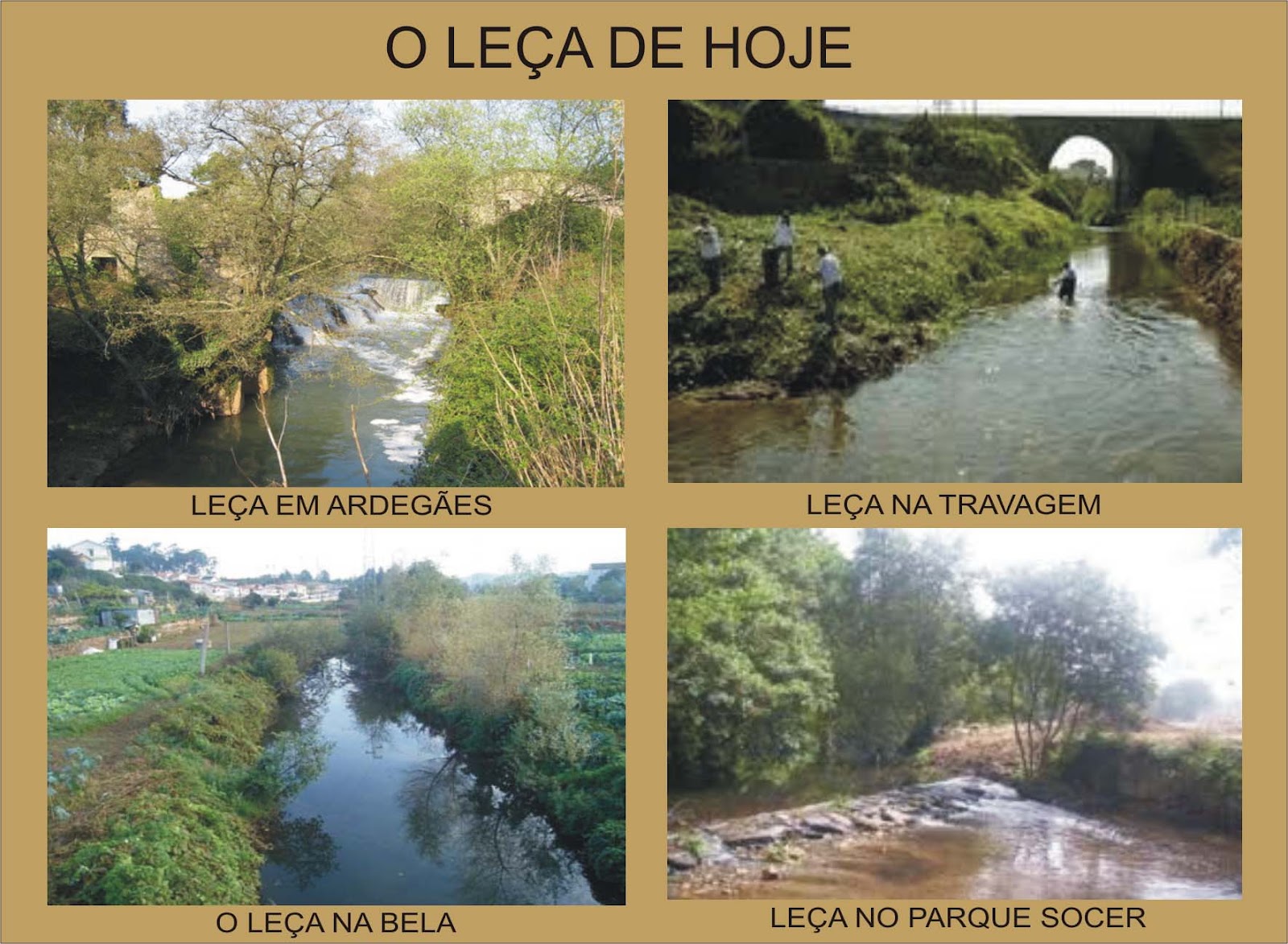 BELA D'ERMESINDE ERMESINDE