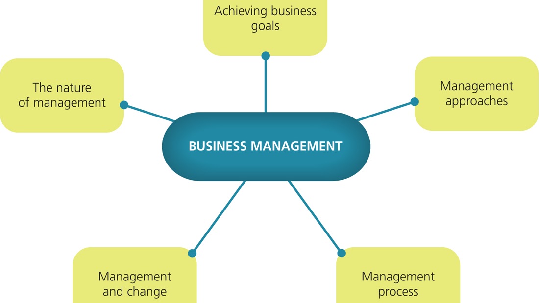 Bachelor Of Management Studies Why Study Business Management Business Information Center