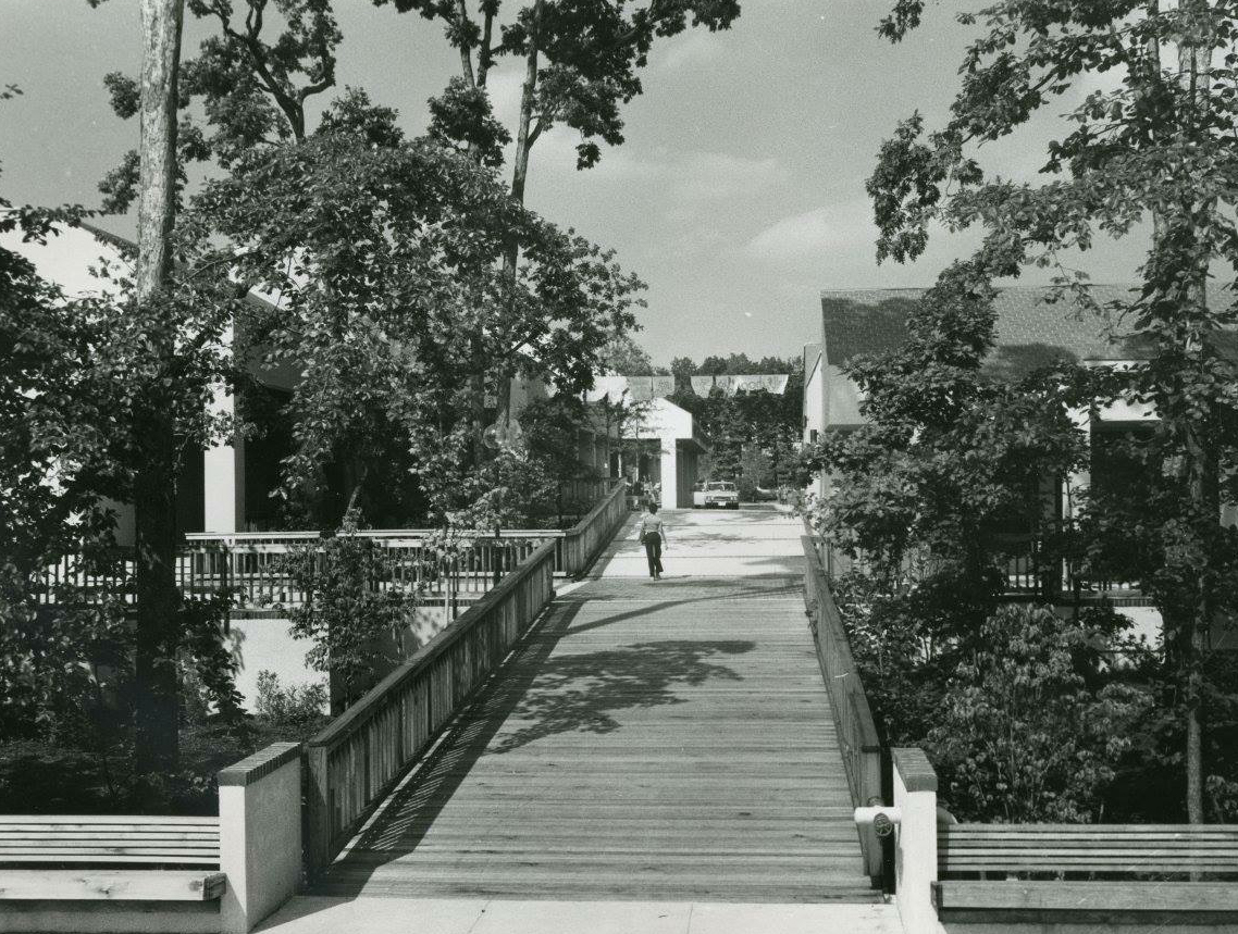 Restonian News blog from Reston, Virginia, the mauvecolored New Town