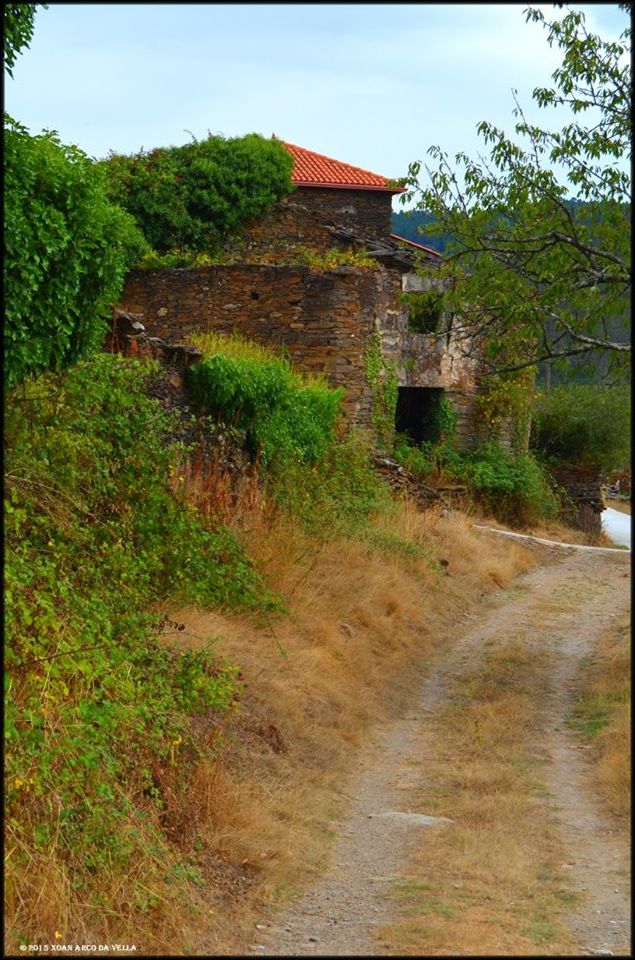XOAN ARCO DA VELLA TORRE DE A GRIXOÁ CARBALLEDO