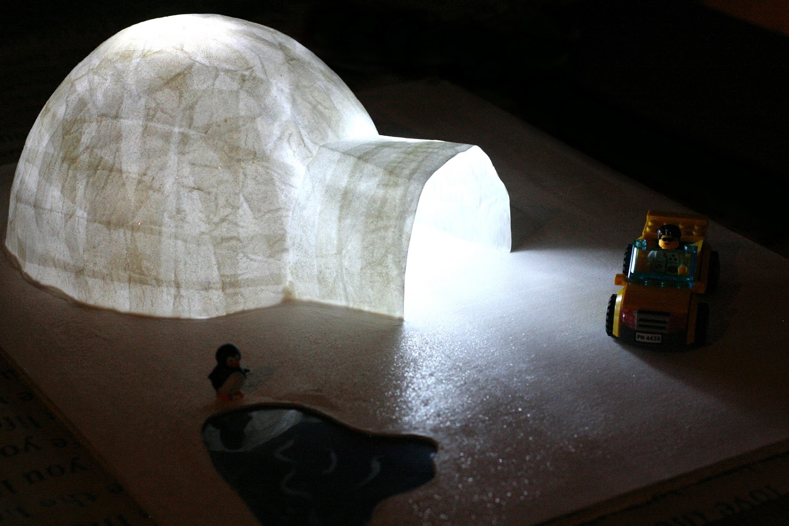 two sons School Project Building an Igloo