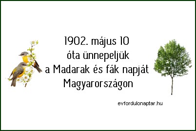 Május 10 - Madarak és fák napja Madarak és fák napja