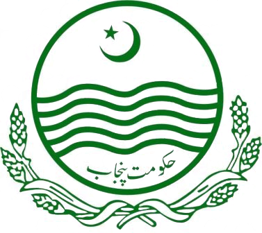 evolution and creationism essay typer free