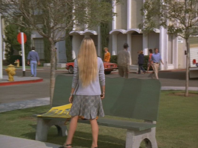 Filming Locations of Chicago and Los Angeles The Brady Bunch