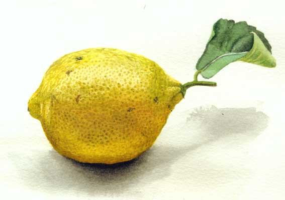 the lemon test and the u s The test for determining whether a law meets the requirements of the establishment clause is whether it has a legitimate secular purpose, does not have the primary. the lemon test and the u s The test for determining whether a law meets the requirements of the establishment clause is whether it has a legitimate secular purpose, does not have the primary.