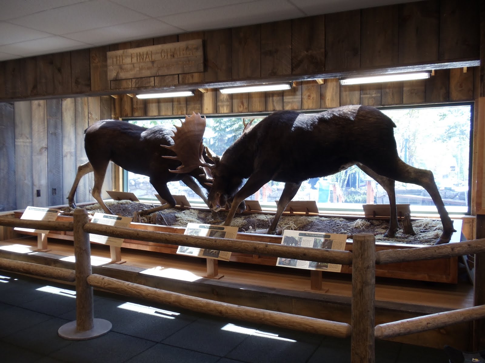 Soapy Smith's Soap Box Jeff Smith's Parlor restoration Locked horn