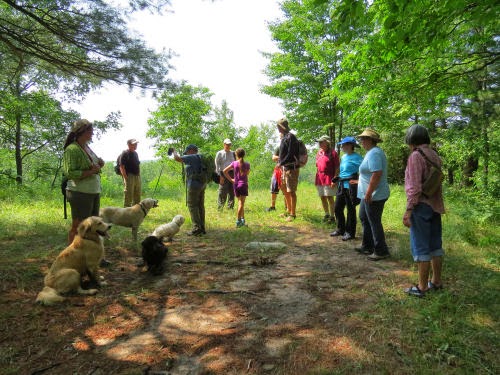 hikers