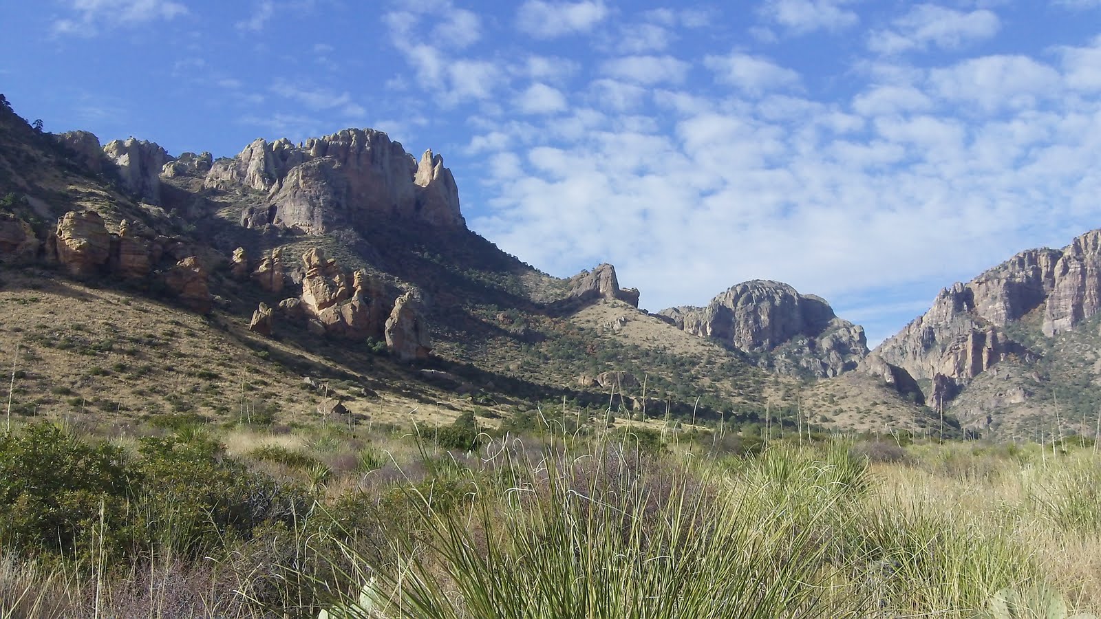 Big Bend Texas Nature Big Bend CBC Chisos Mountains
