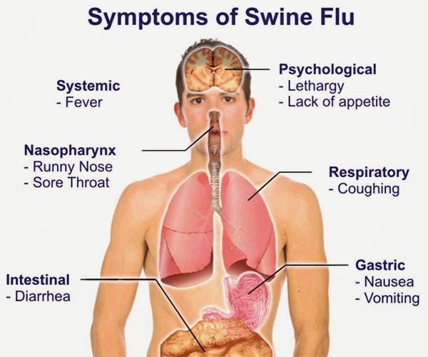 Home remedies for diarrhea and vomiting in adults