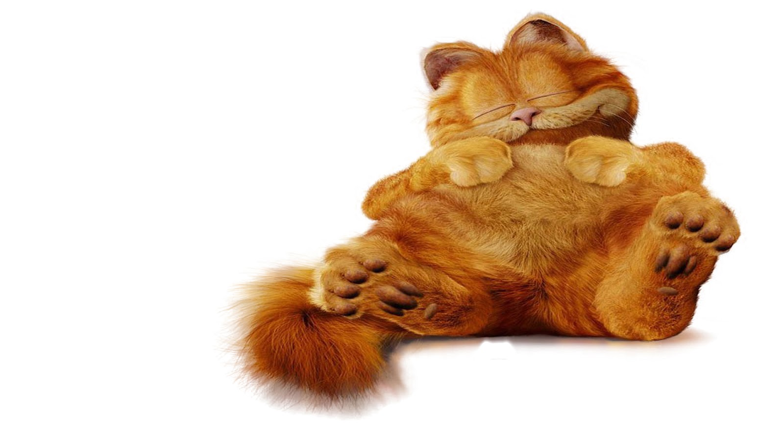 Gambar Kata Kata Lucu Orang: Wallpaper Lucu Gambar Kucing Garfield