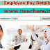 AP Employee Pay Details | Telangana Employee Salary Particulars