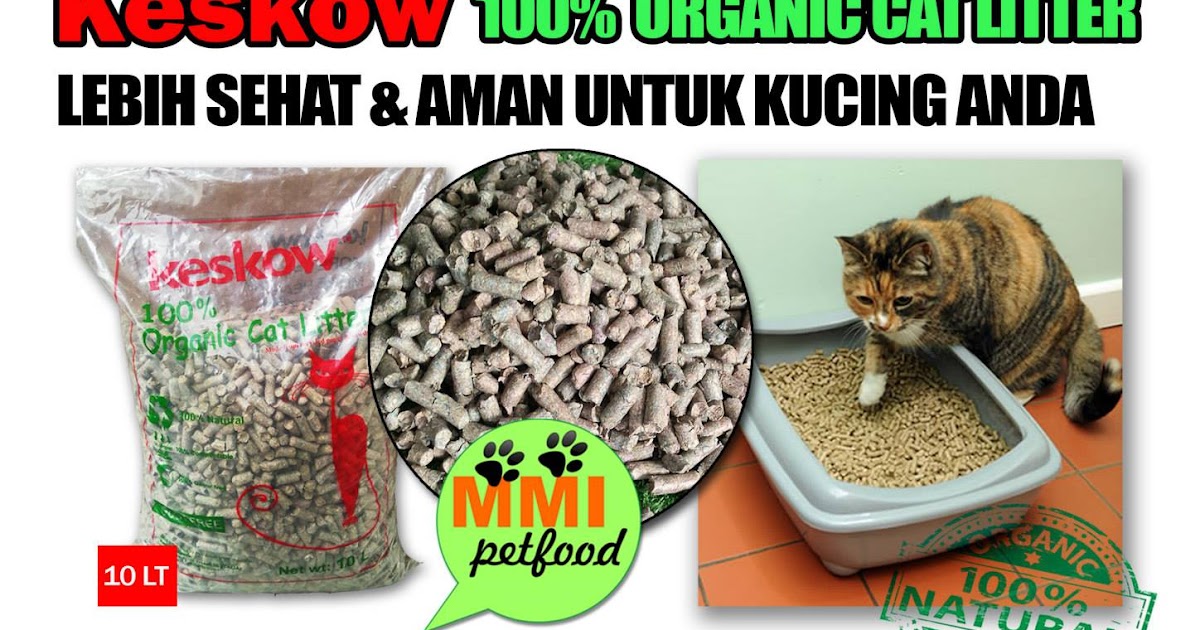 Daya Cat Food Daya Cat Food