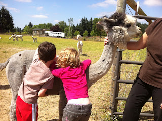 Kiddos hugging Jaywin kids hugging mama alpaca