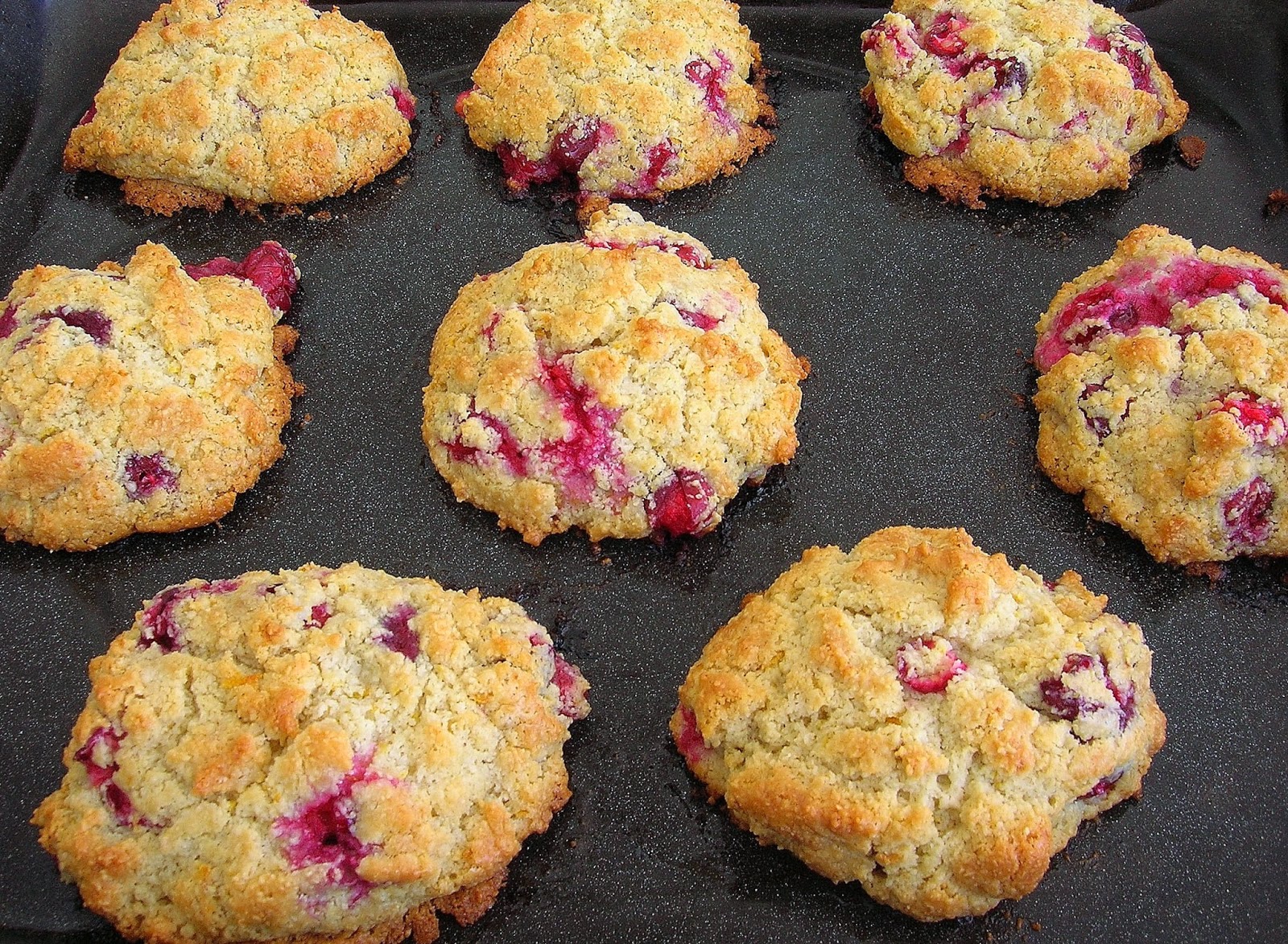 Paleo Cranberry Orange Scones, gluten free, low carb, sugar free