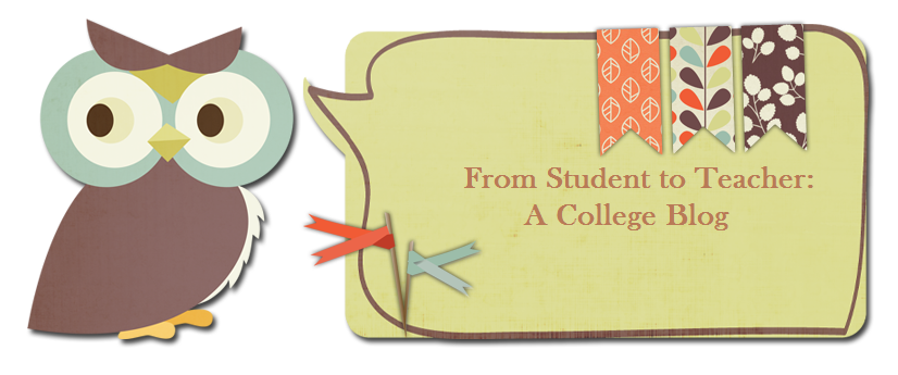 From Student To Teacher: A College Blog