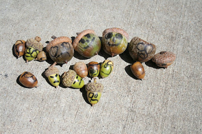 Faces on acorns: STEM mom