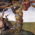 İlk Günah ve Cennetten Kovuluş "The Fall of Man and Expulsion from Heaven" - Michelangelo