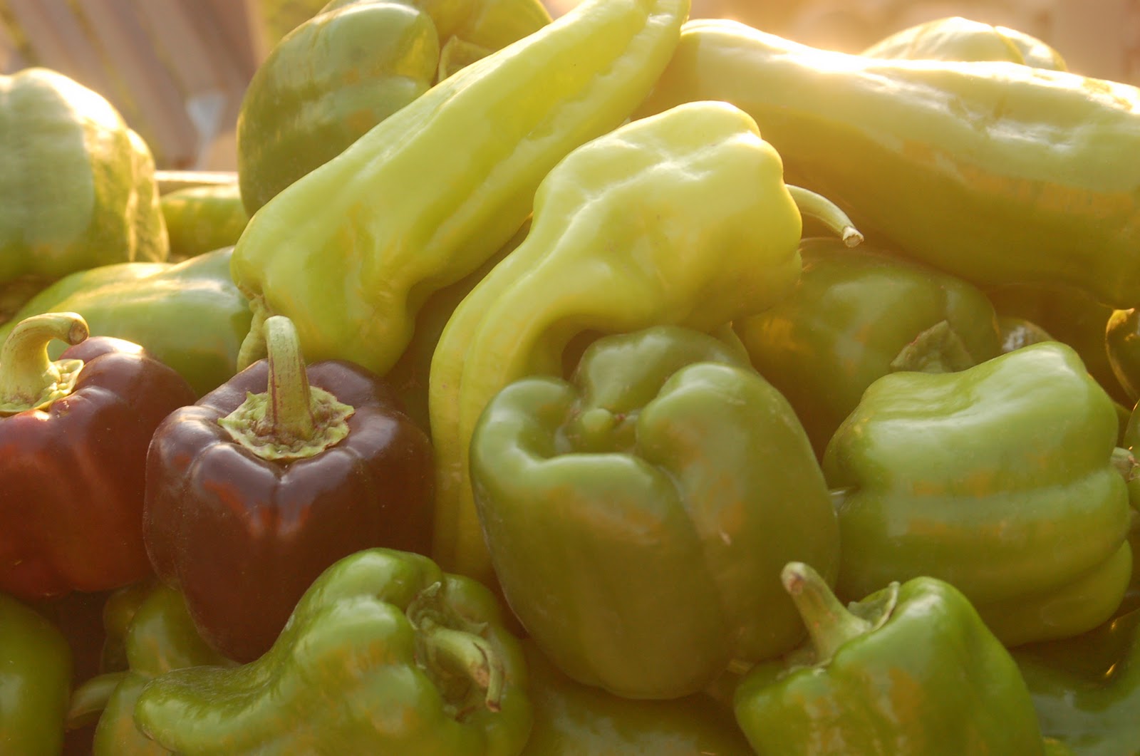 Fairview Farm: Freezing Green Peppers