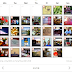 A Month in Review: June
