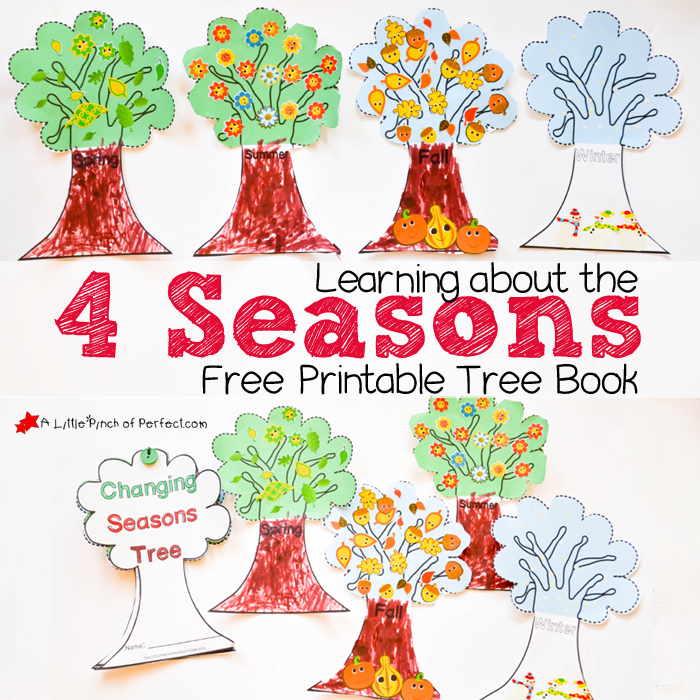 Finding out Around the 4 Seasons Lovable Absolutely free Printable Tree Ebook - picture about Seasons Printable identify Studying In excess of the 4 Seasons Lovable Free of charge Printable Tree E-book -