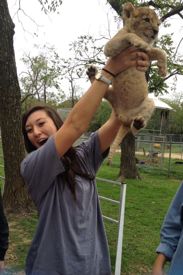 Arkansas Alpha Pi Beta Phi Sisterhood Event The Gentry Zoo