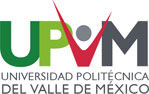 Consultoría UPVM (Informática)  