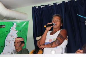 Seminário Povos Indígenas e Populações Tradicionais - Palma TO