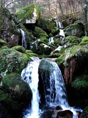 Hamilton cezar lagos, cascatas e jardins no estilo oriental.: lago ... Cascata em lago ornamental