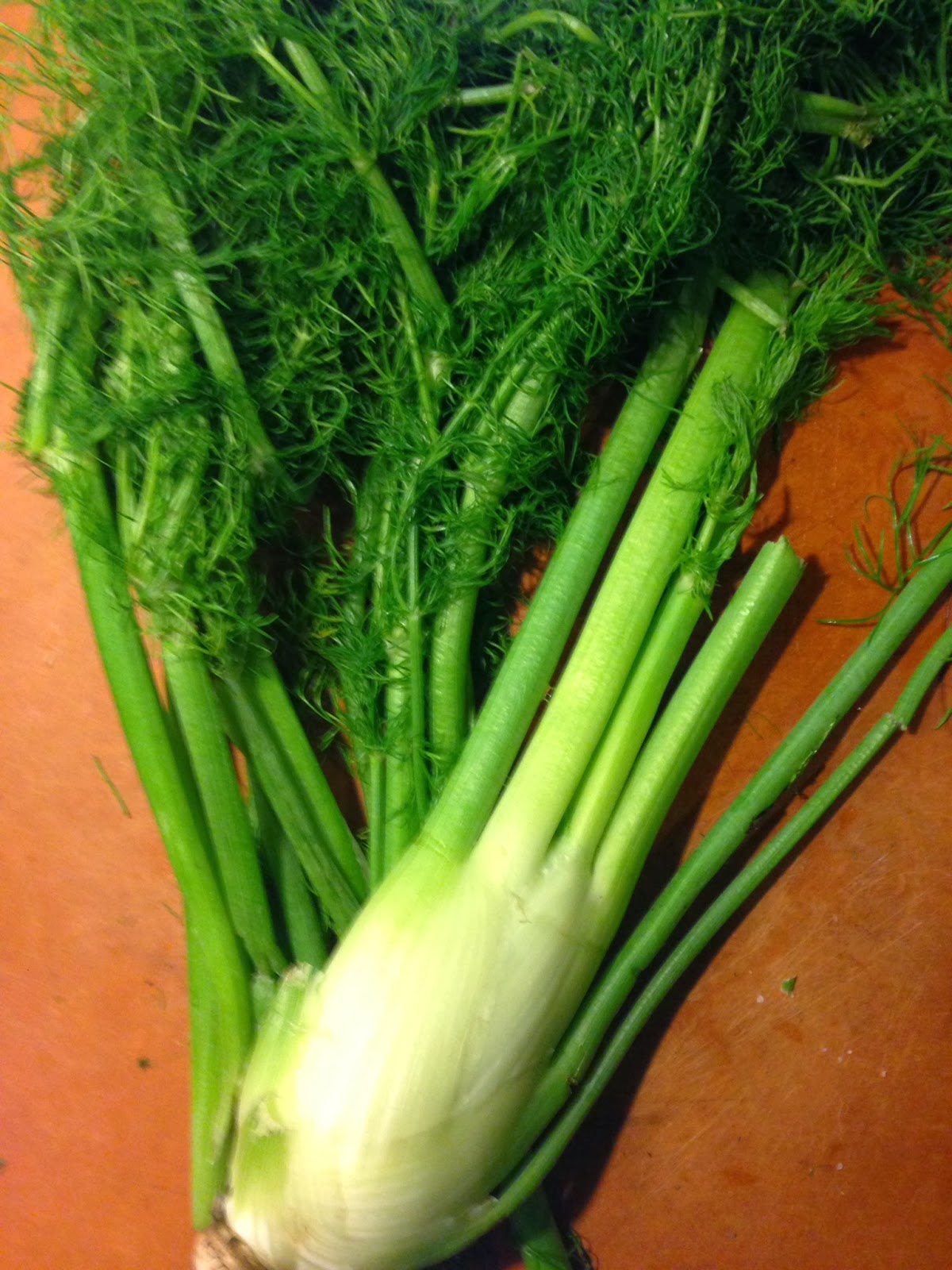 Mommy and Her Latte 31 Days of Green Day 2 Fennel